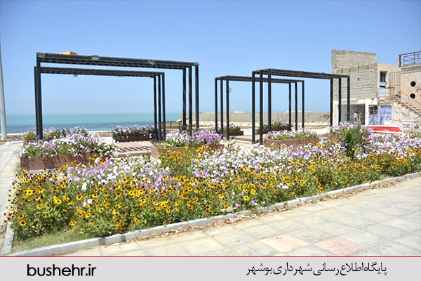 گزارش تصویری