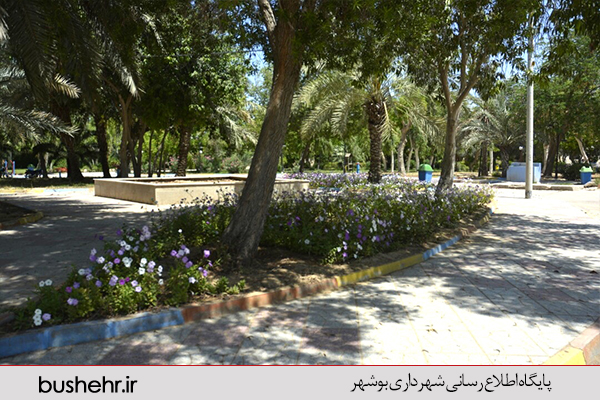 گزارش تصویری