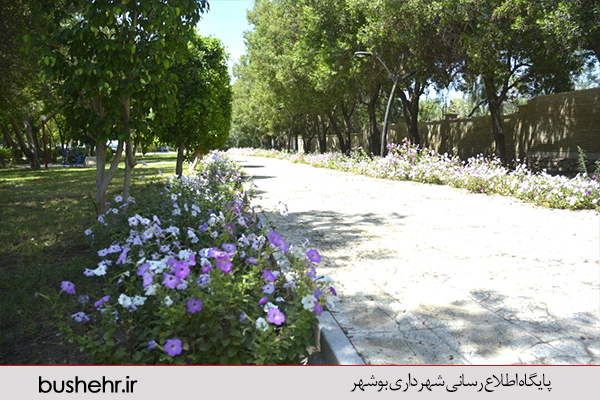 گزارش تصویری