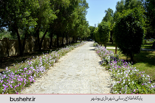 گزارش تصویری