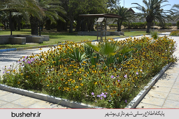گزارش تصویری