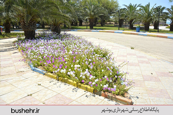 گزارش تصویری