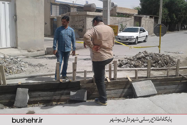 گزارش تصویری