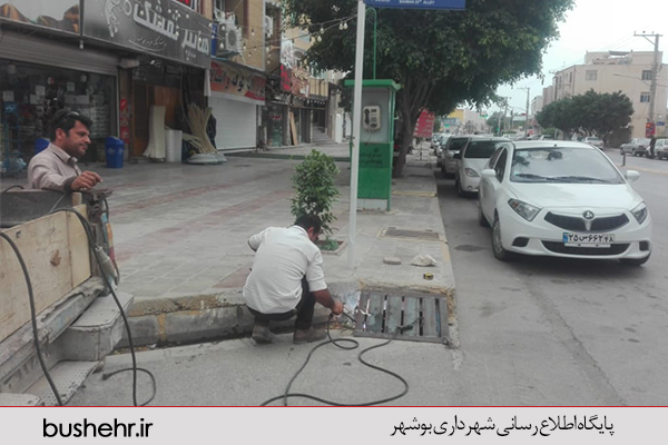 گزارش تصویری