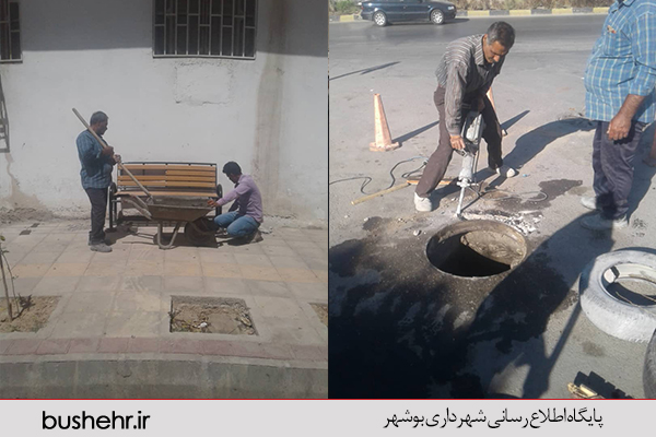 گزارش تصویری
