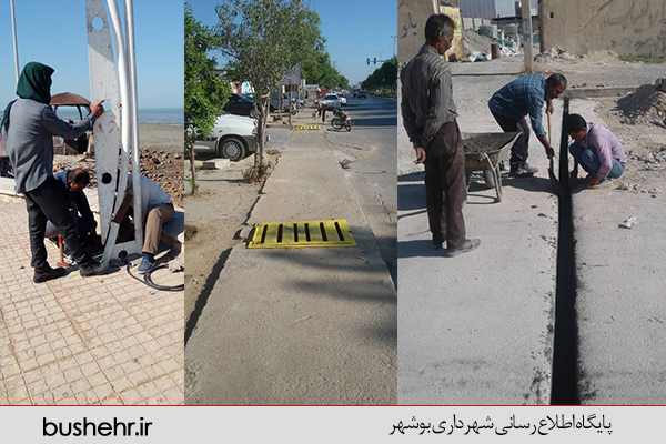 گزارش تصویری