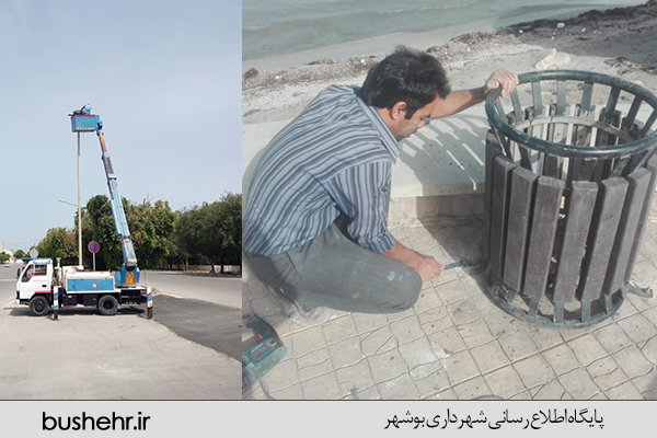 گزارش تصویری