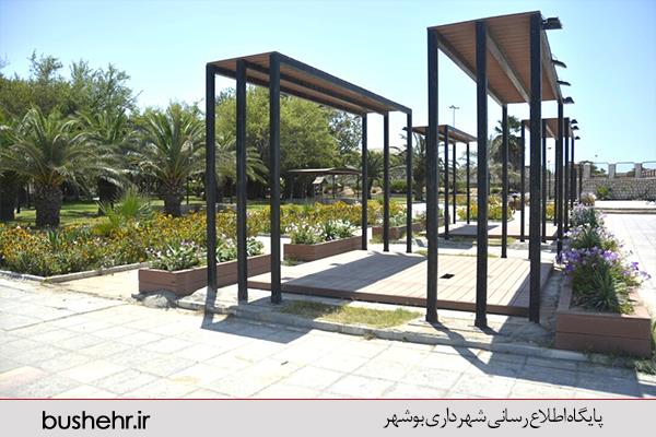 گزارش تصویری از فضای سبز پارک دانشجو انجام شد توسط سبز پوشان سازمان سیما ٬ منظر و فضای سبز  شهری شهرداری بندر بوشهر